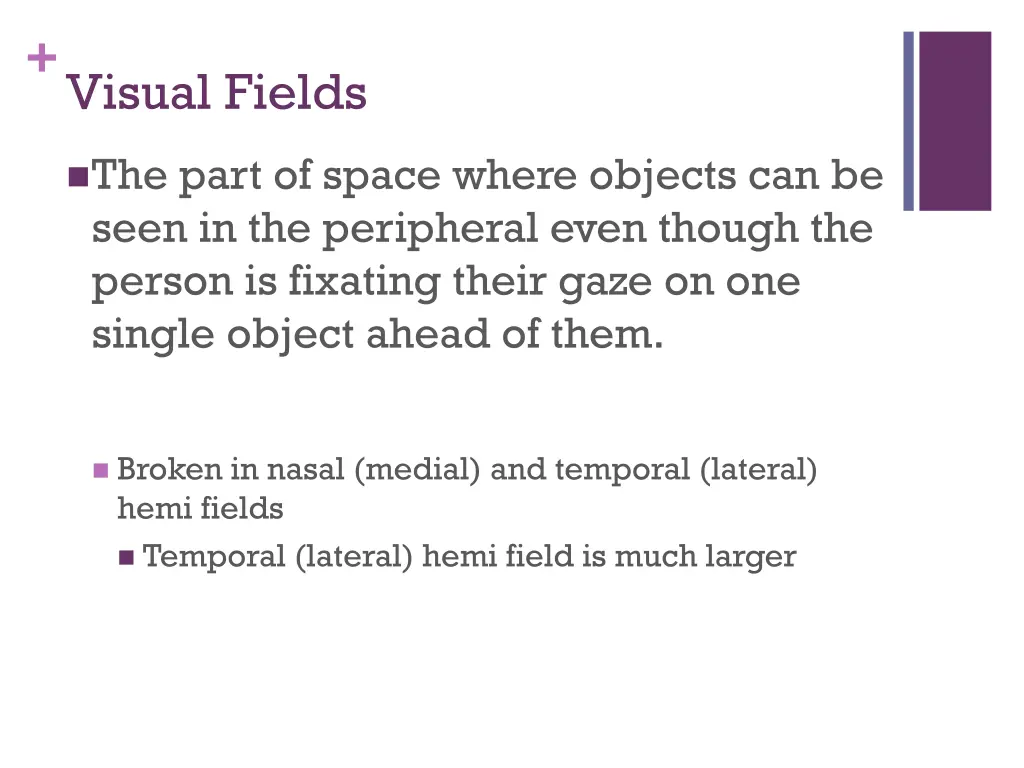 visual fields