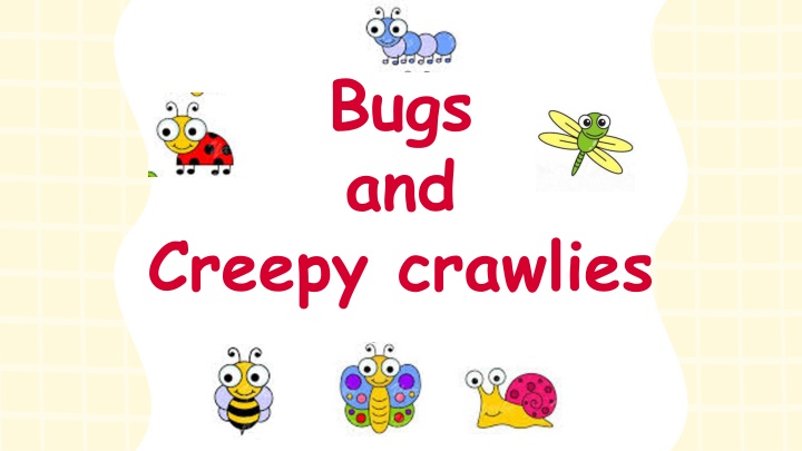 bugs and