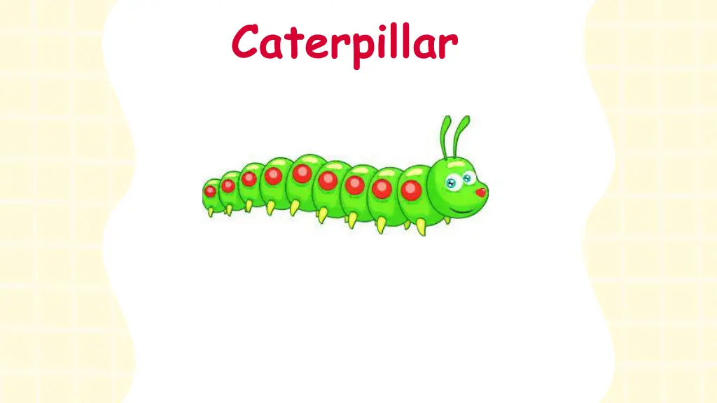 caterpillar