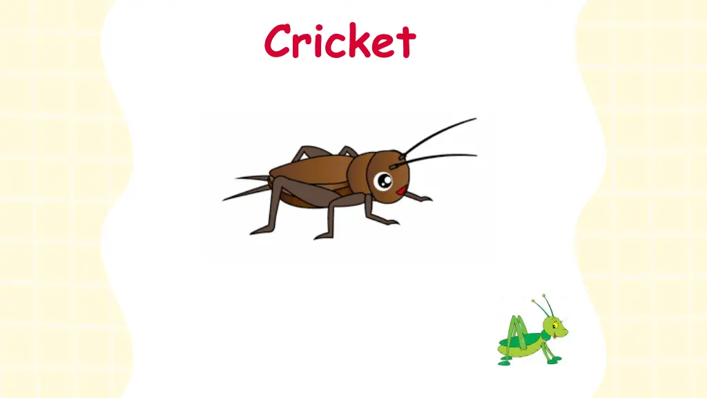 cricket