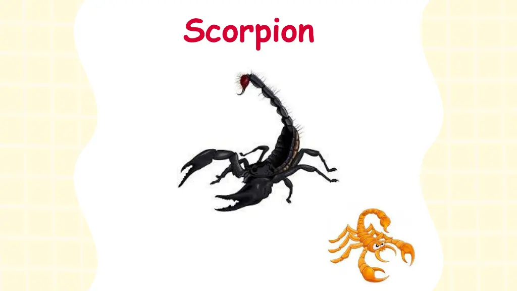 scorpion