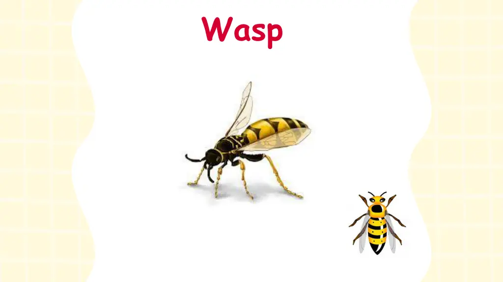 slide15