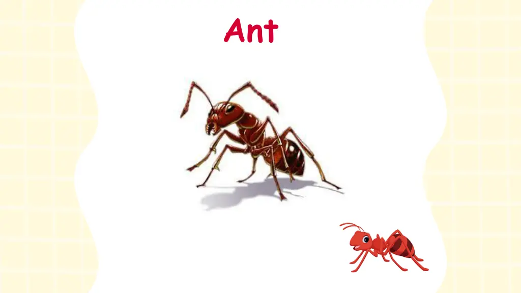 slide2