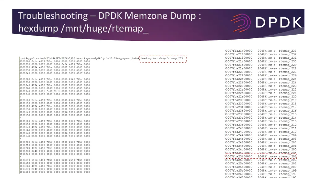 troubleshooting dpdk memzone dump hexdump