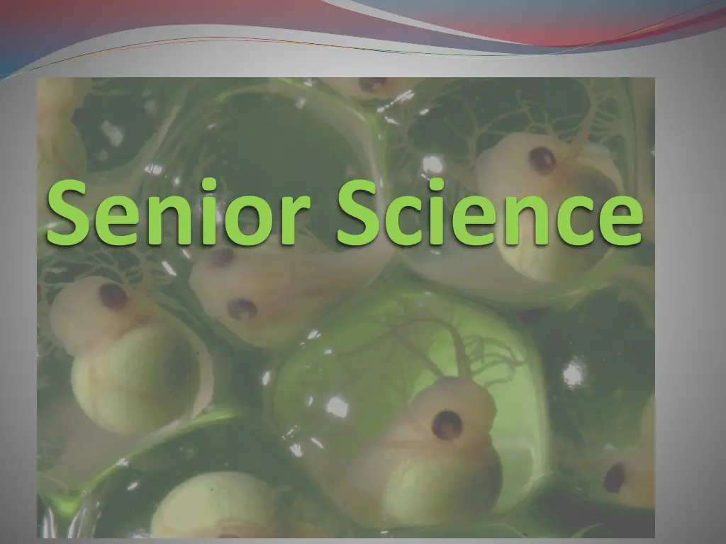 senior science
