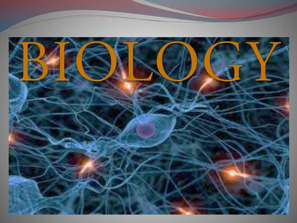 slide2