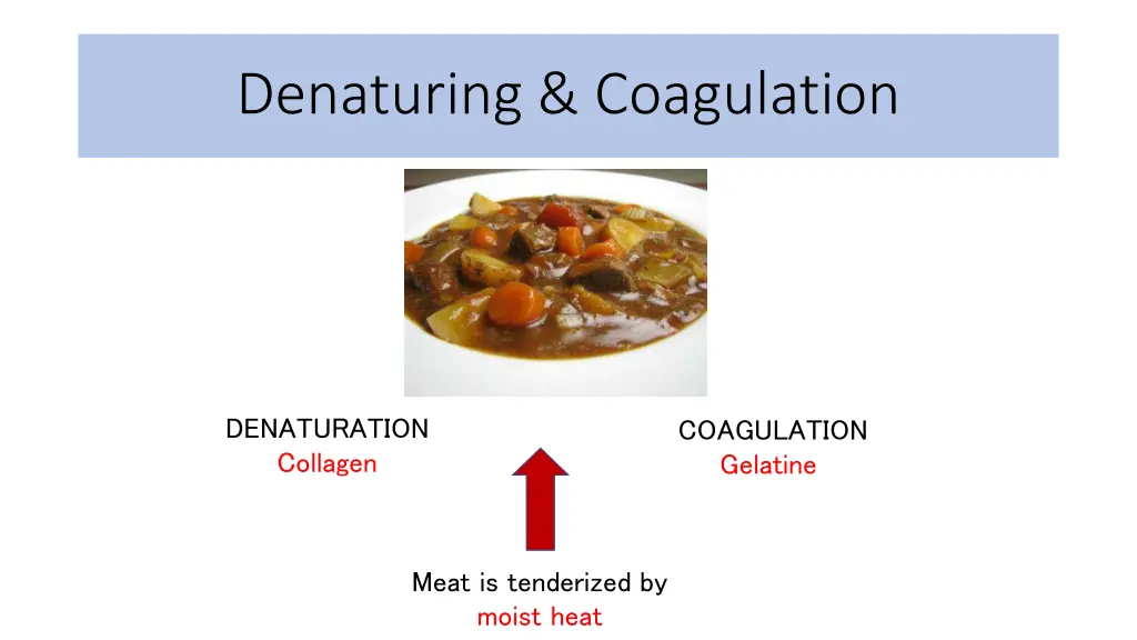 denaturing coagulation 3
