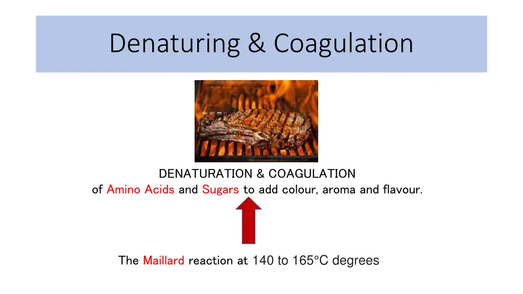 denaturing coagulation 4