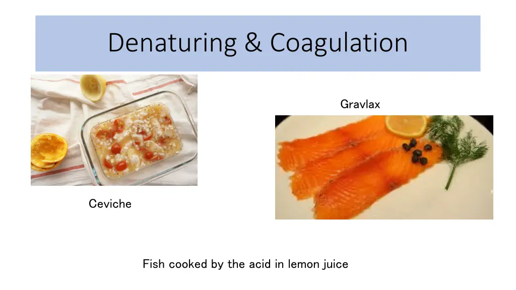 denaturing coagulation 5