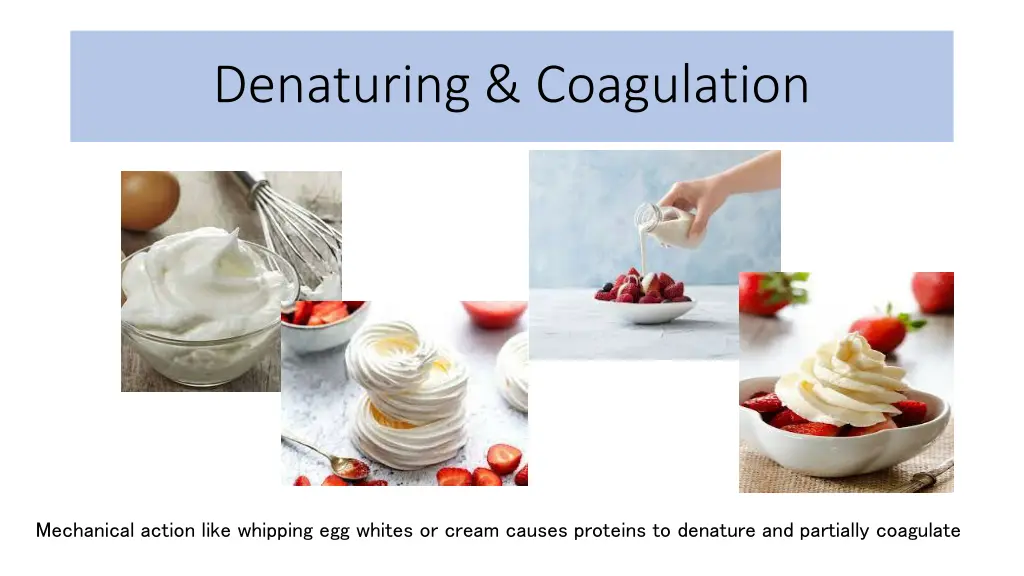 denaturing coagulation 7