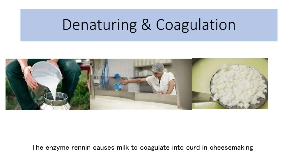 denaturing coagulation 8