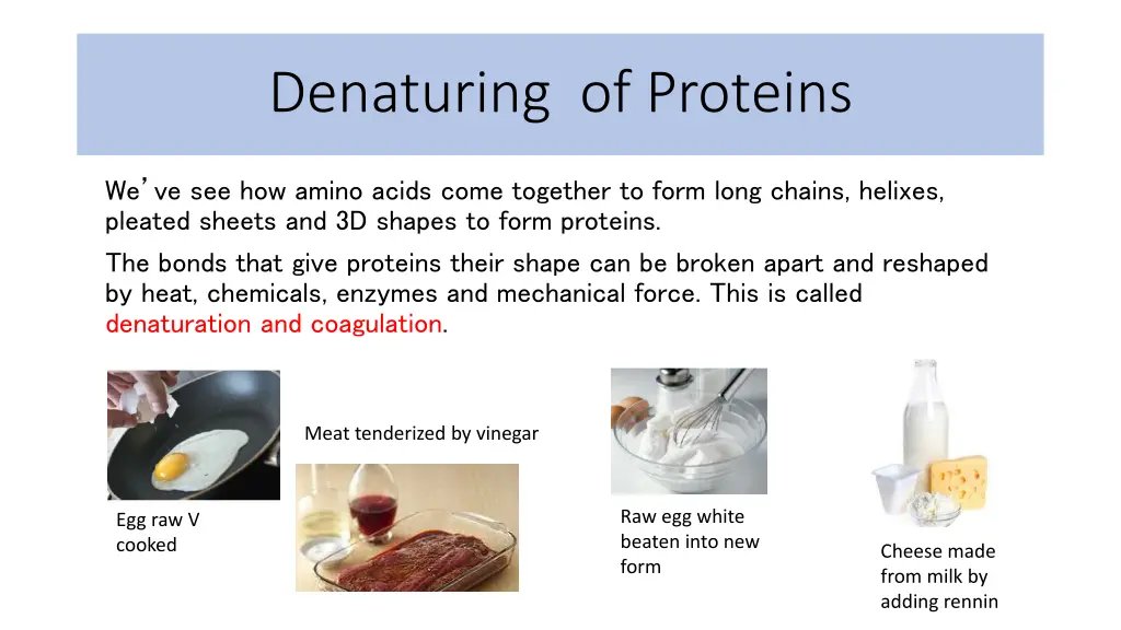 denaturing of proteins