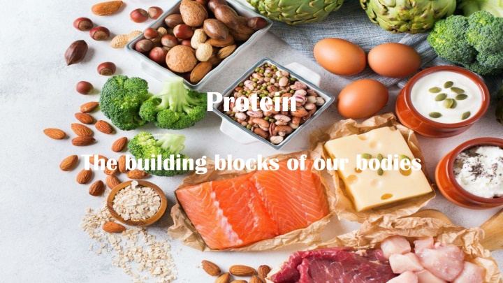 protein