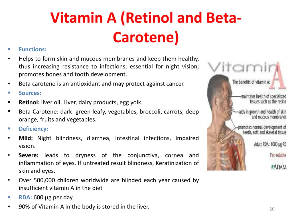 vitamin a retinol and beta carotene