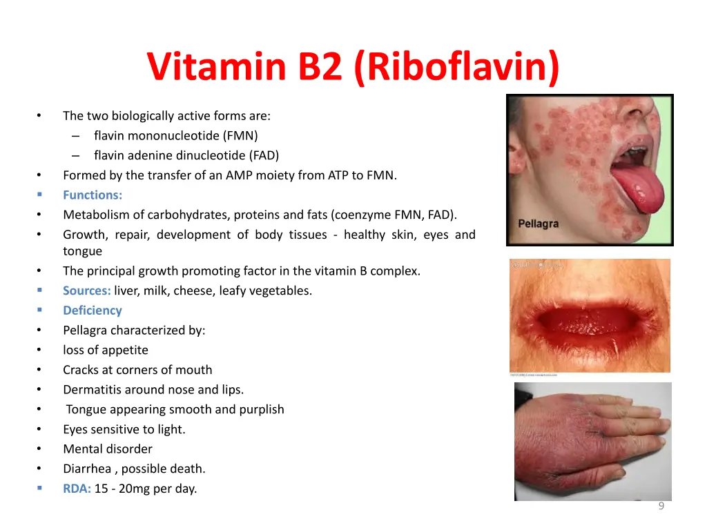 vitamin b2 riboflavin