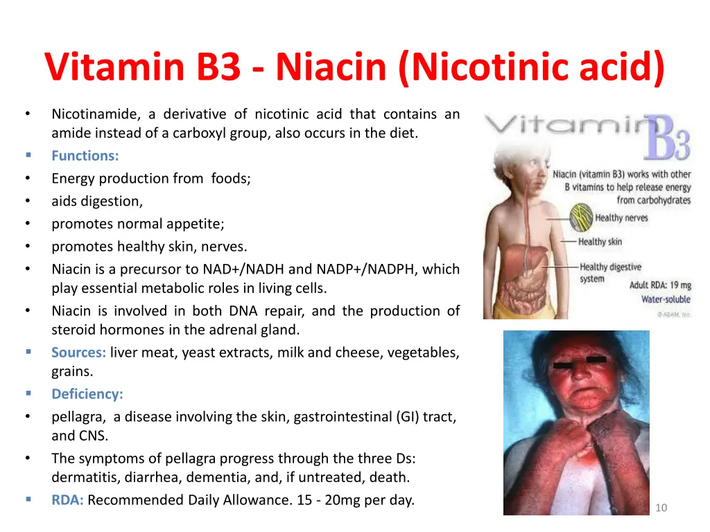 vitamin b3 niacin nicotinic acid