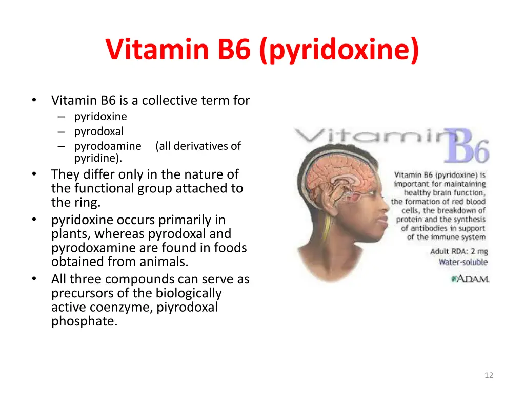 vitamin b6 pyridoxine