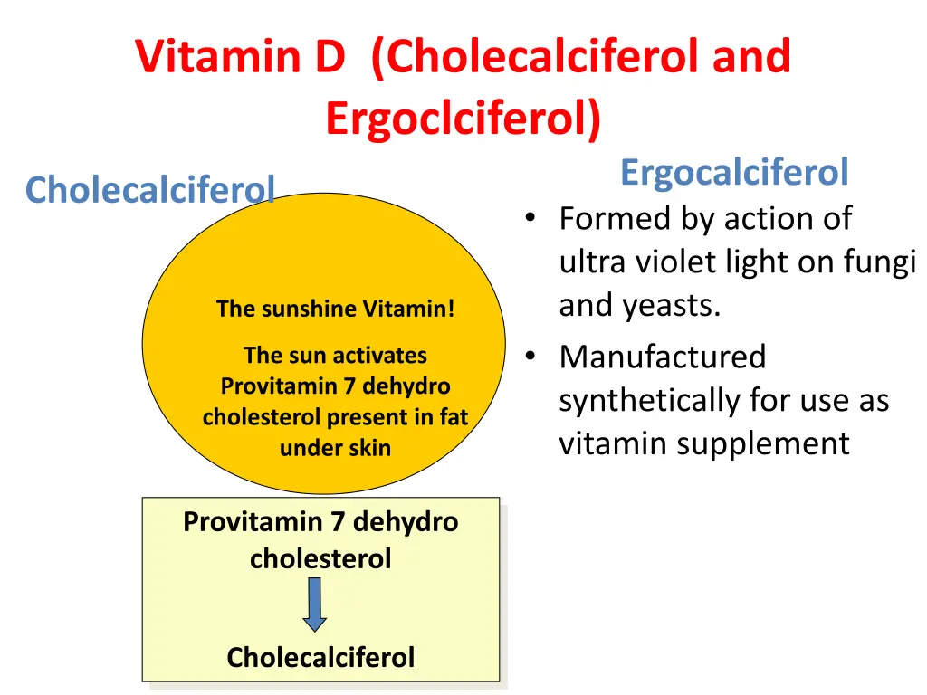 vitamin d cholecalciferol and ergoclciferol 1