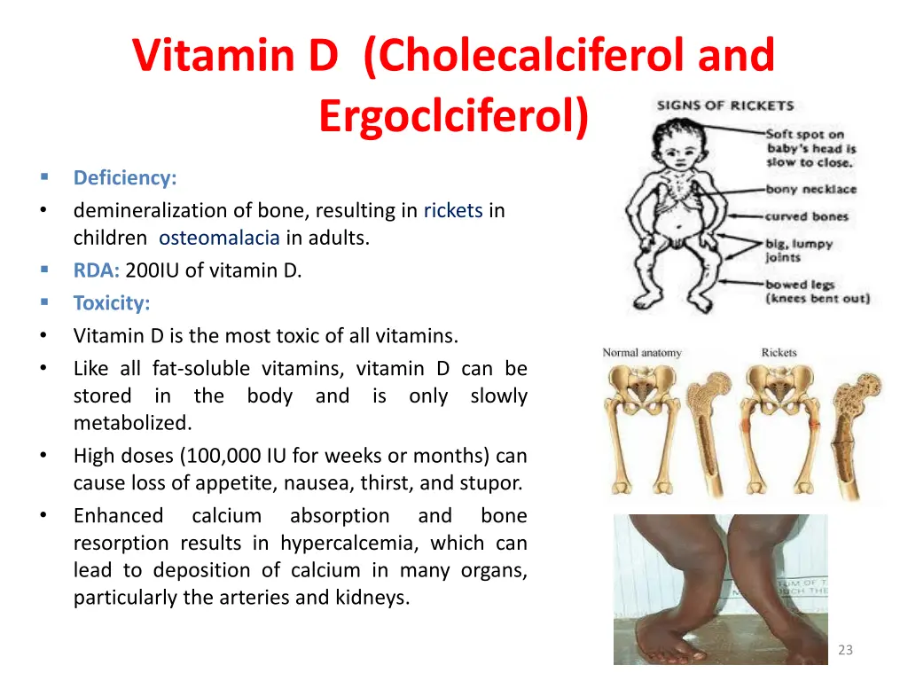 vitamin d cholecalciferol and ergoclciferol 2