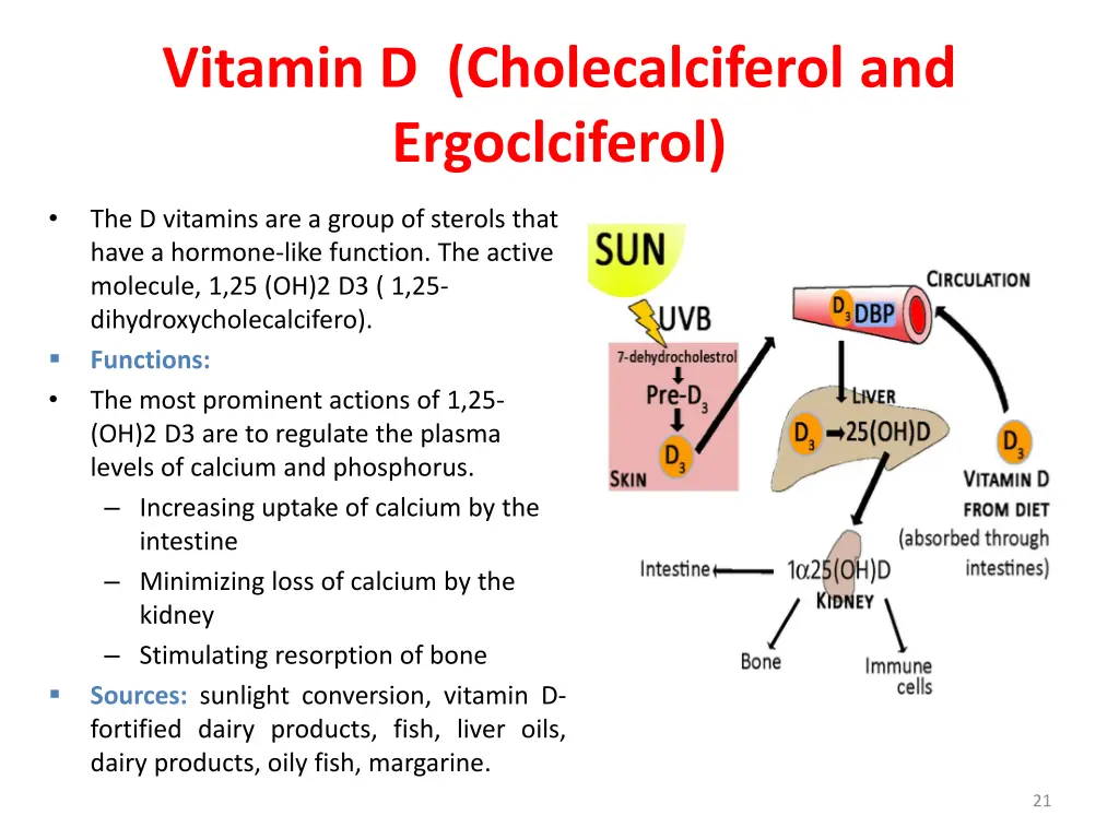 vitamin d cholecalciferol and ergoclciferol