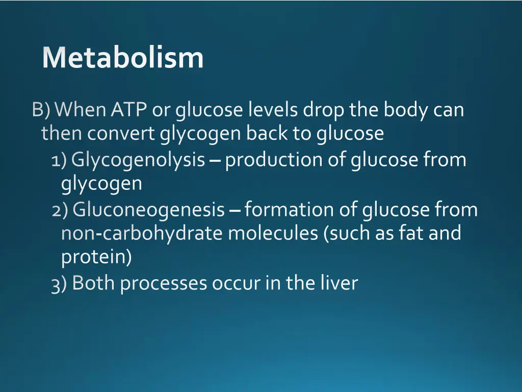 metabolism 13