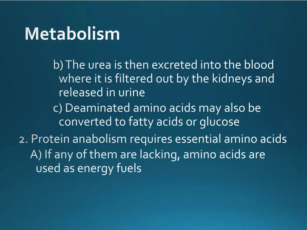 metabolism 19