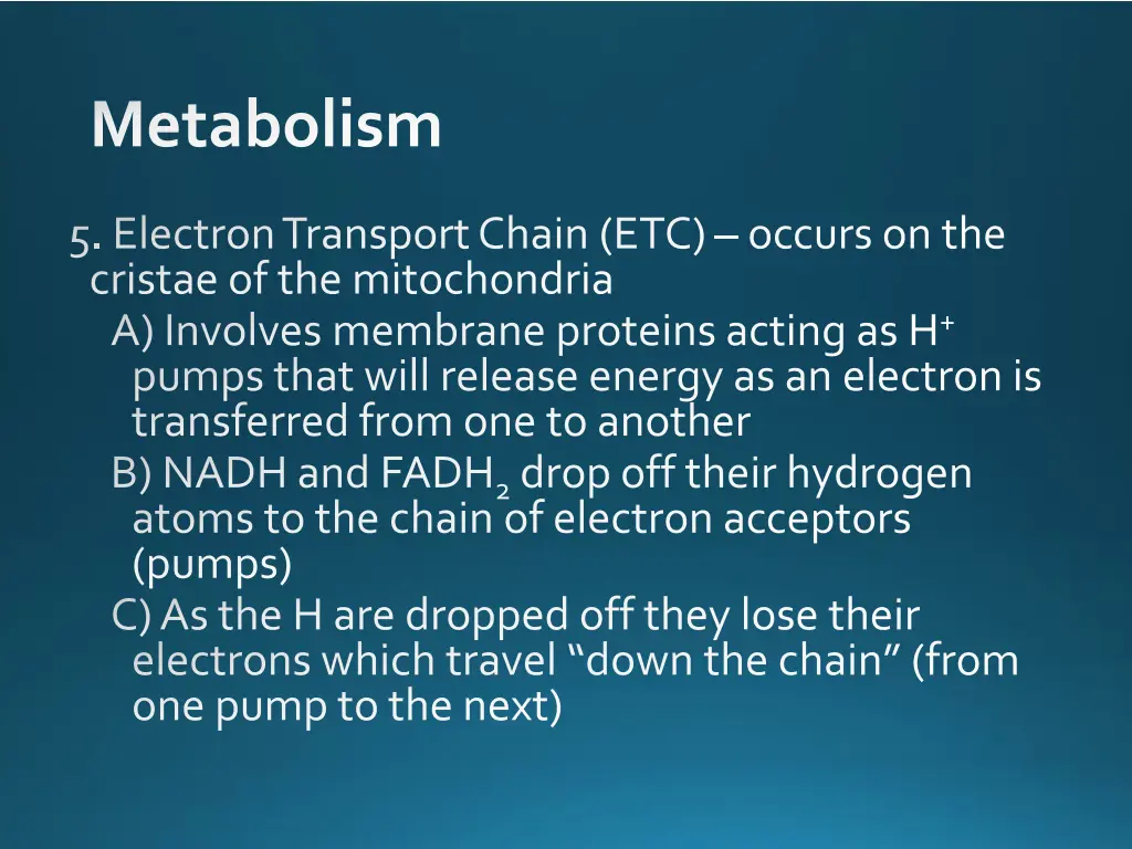 metabolism 9