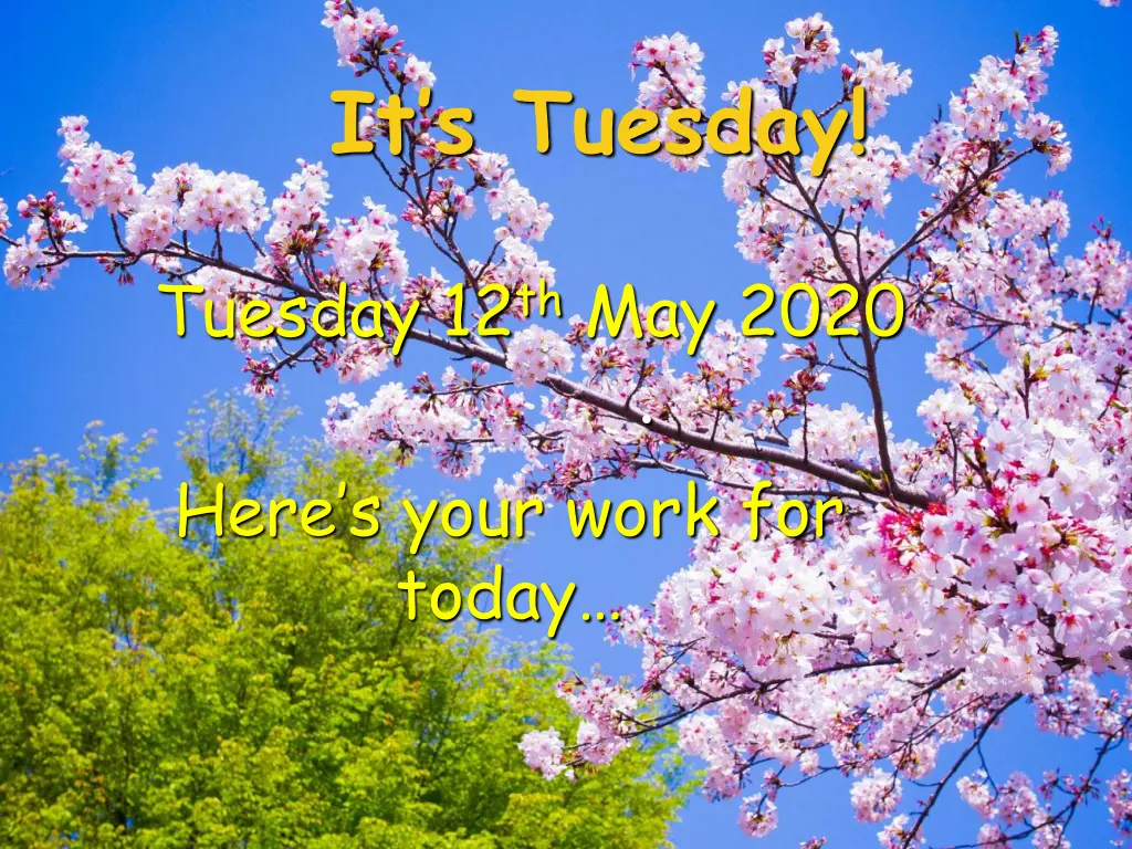 it s tuesday