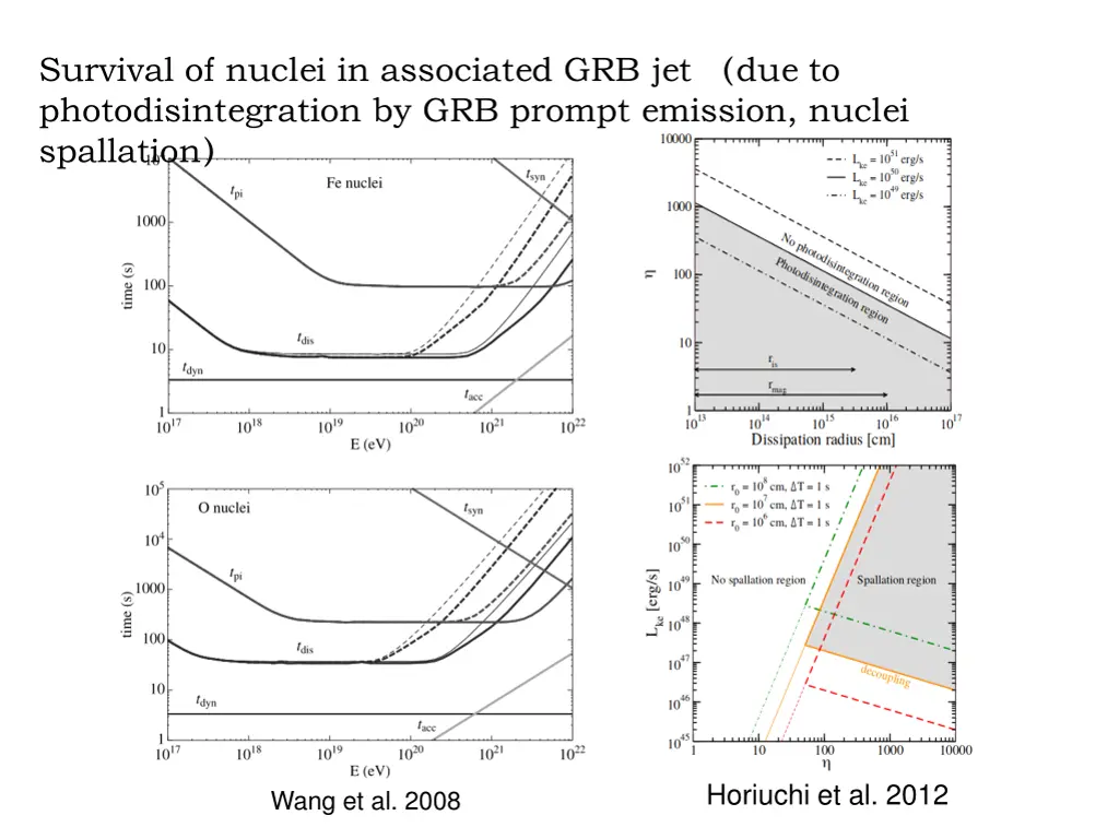 survival of nuclei in associated