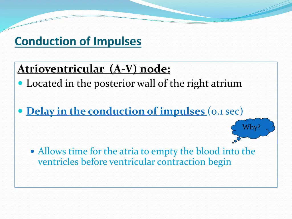 conduction of impulses 2