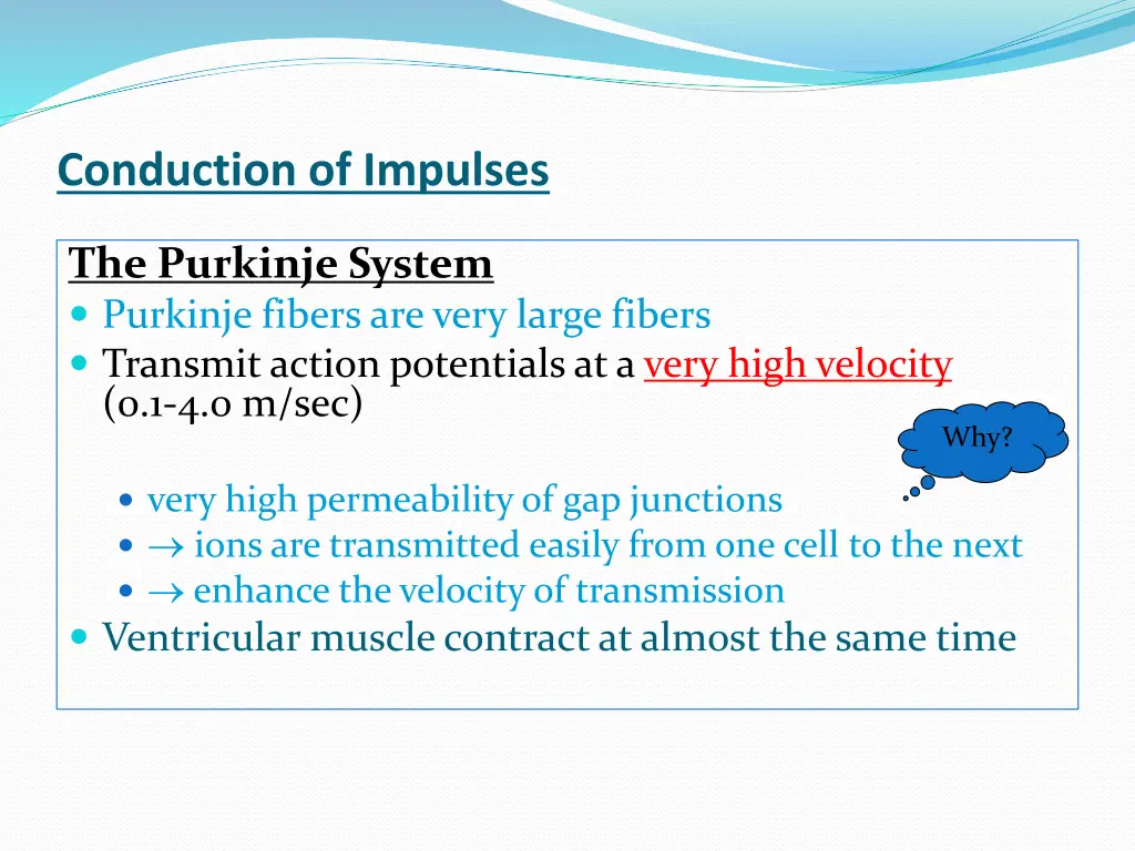 conduction of impulses 4