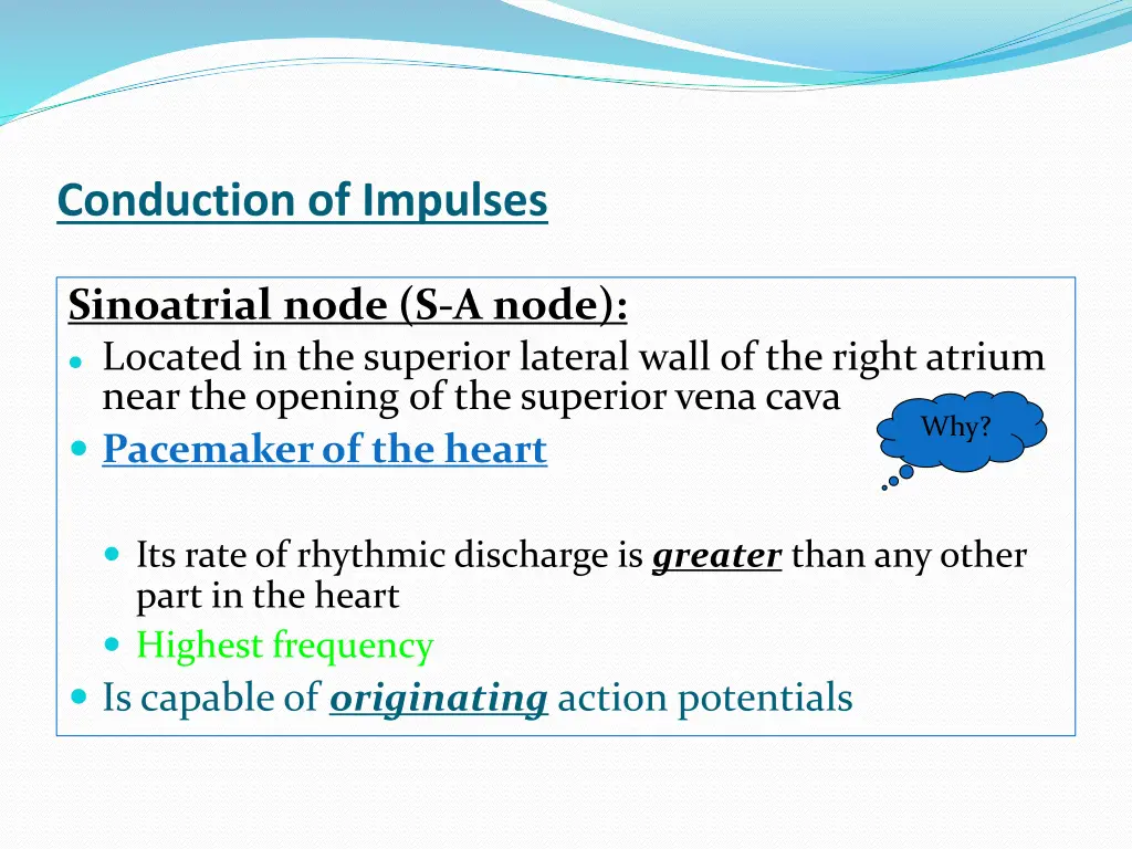 conduction of impulses