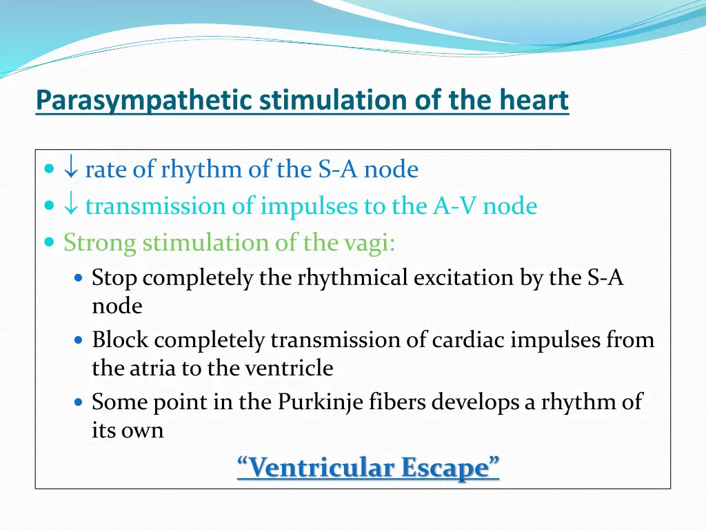 parasympathetic stimulation of the heart