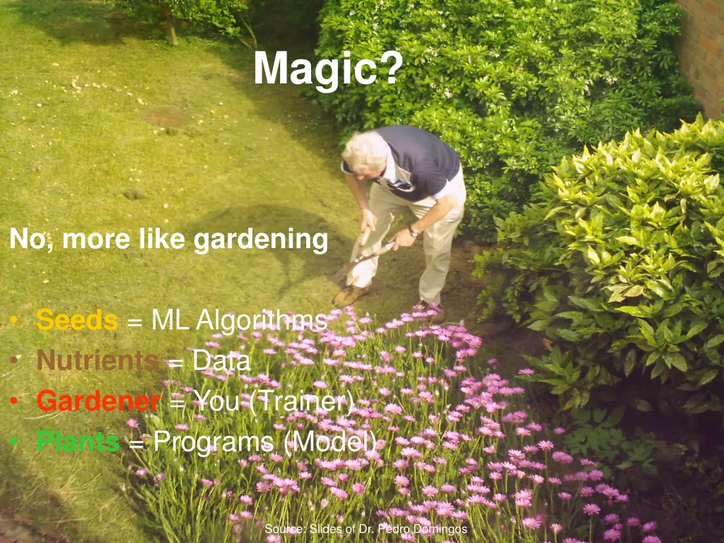 magic