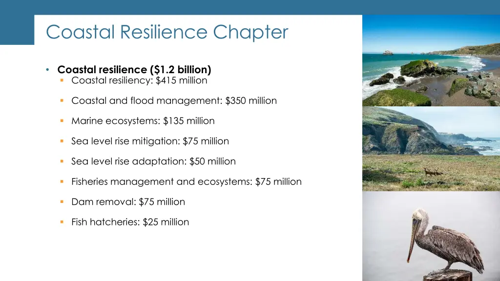 coastal resilience chapter