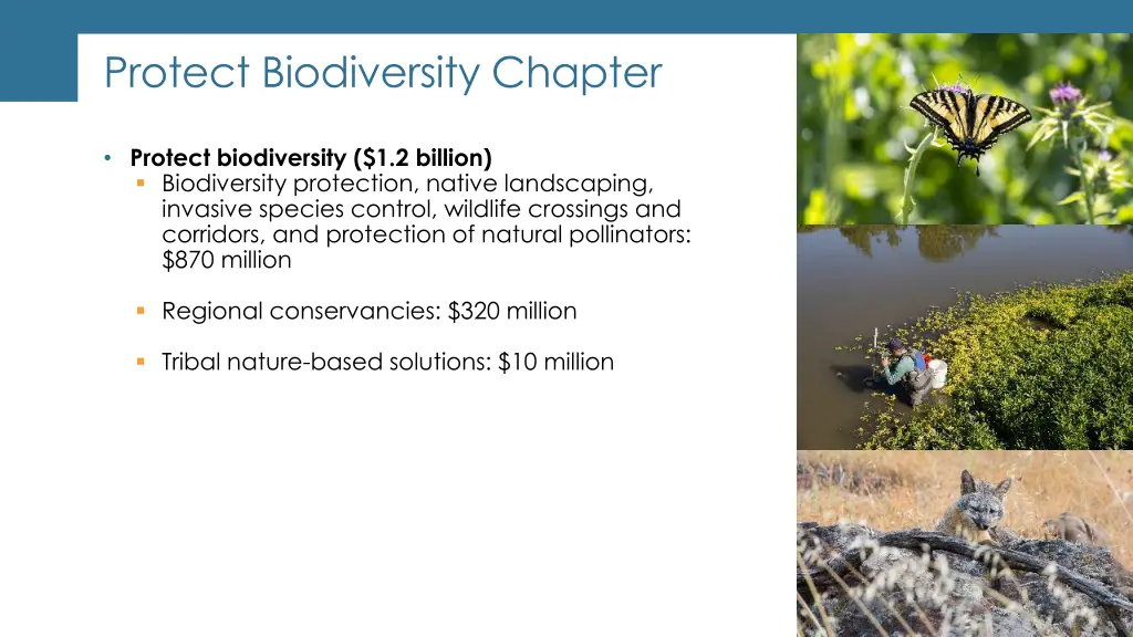protect biodiversity chapter