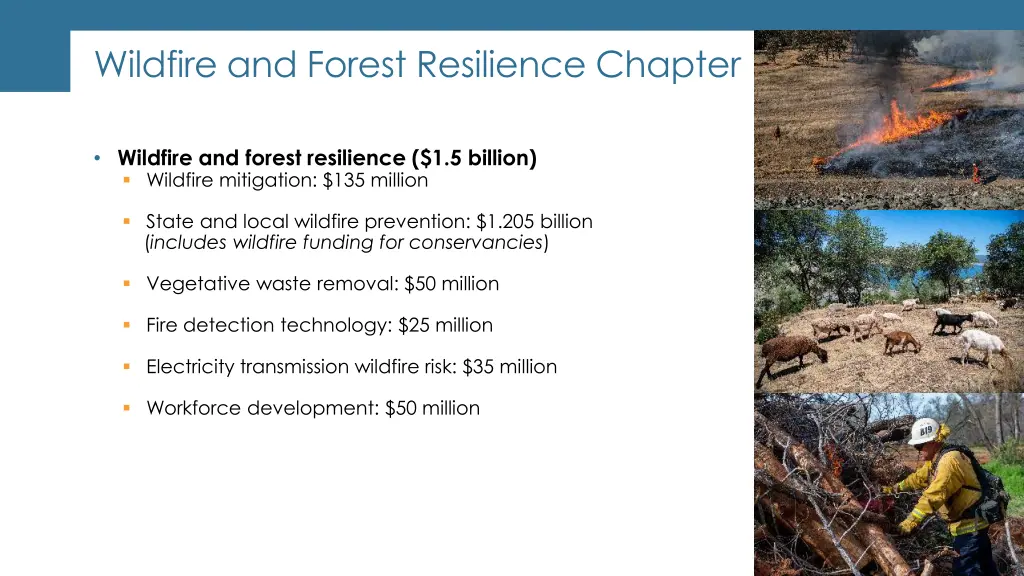 wildfire and forest resilience chapter
