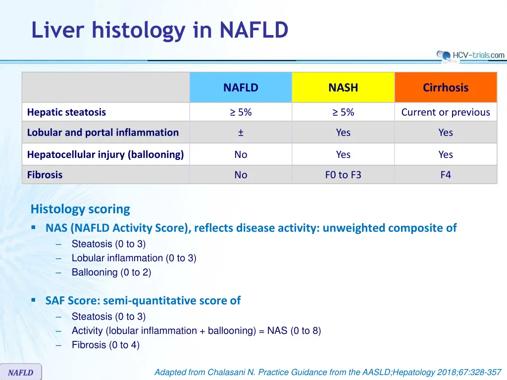liver histology in nafld