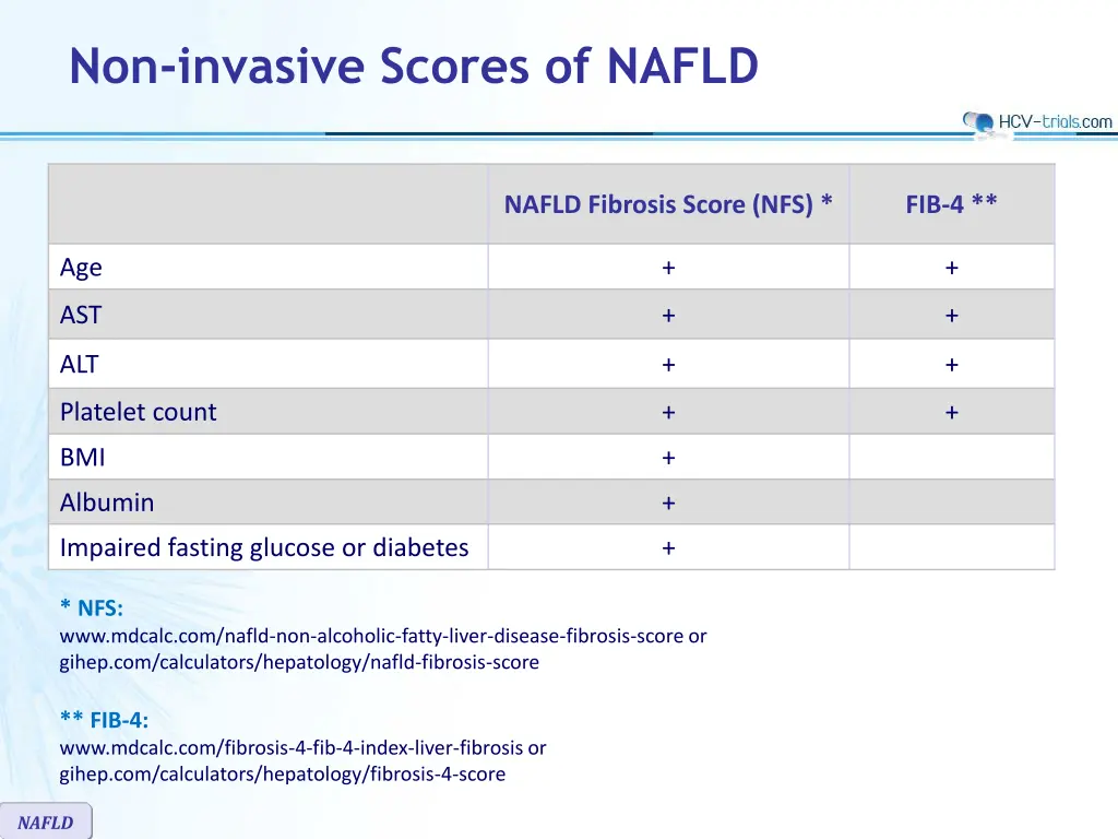 non invasive scores of nafld