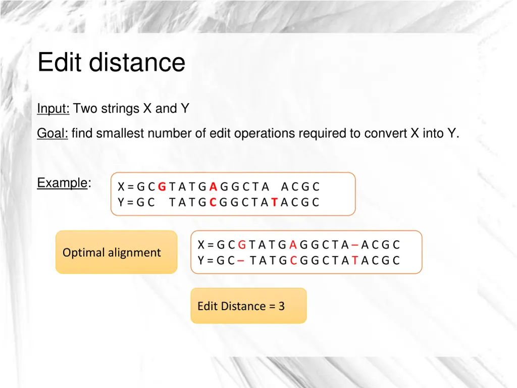 edit distance 1