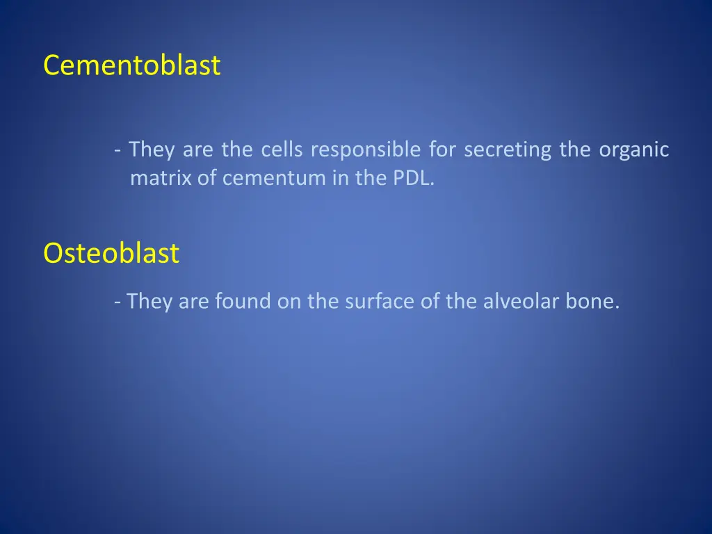 cementoblast