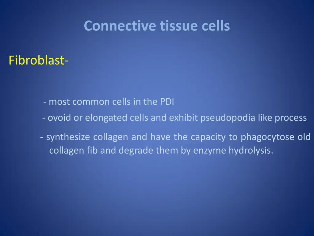 connective tissue cells