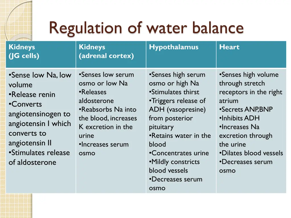 regulation of water balance
