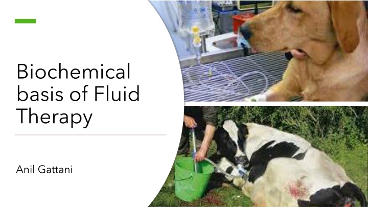 biochemical basis of fluid therapy