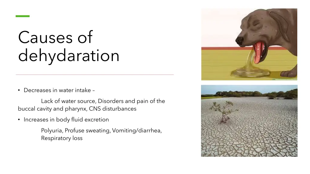 causes of dehydaration