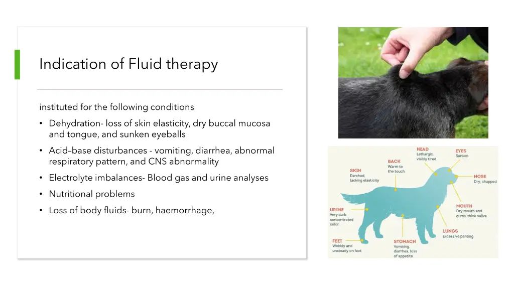 indication of fluid therapy