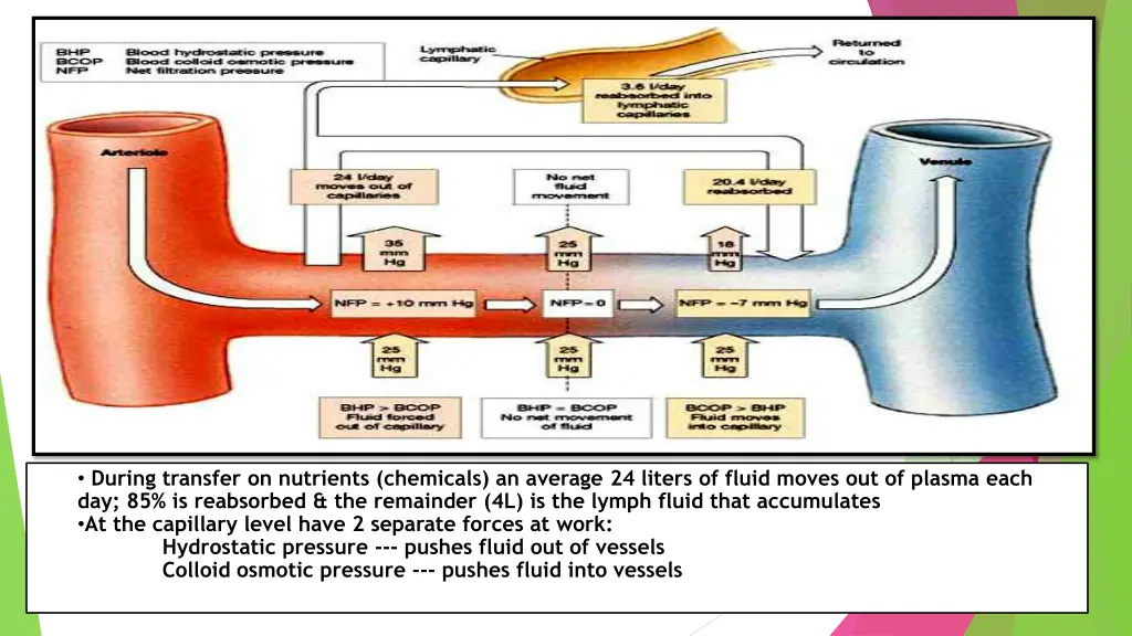 during transfer on nutrients chemicals an average