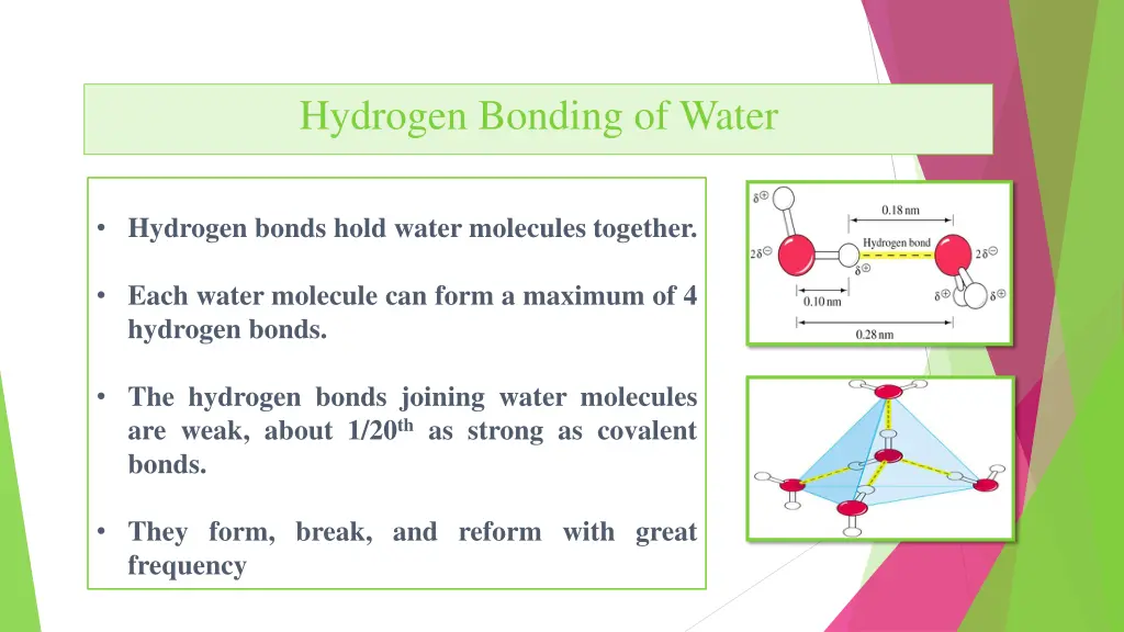 hydrogen bonding of water