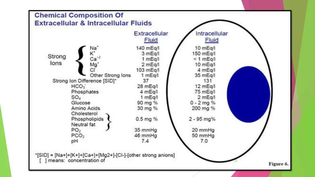 slide23