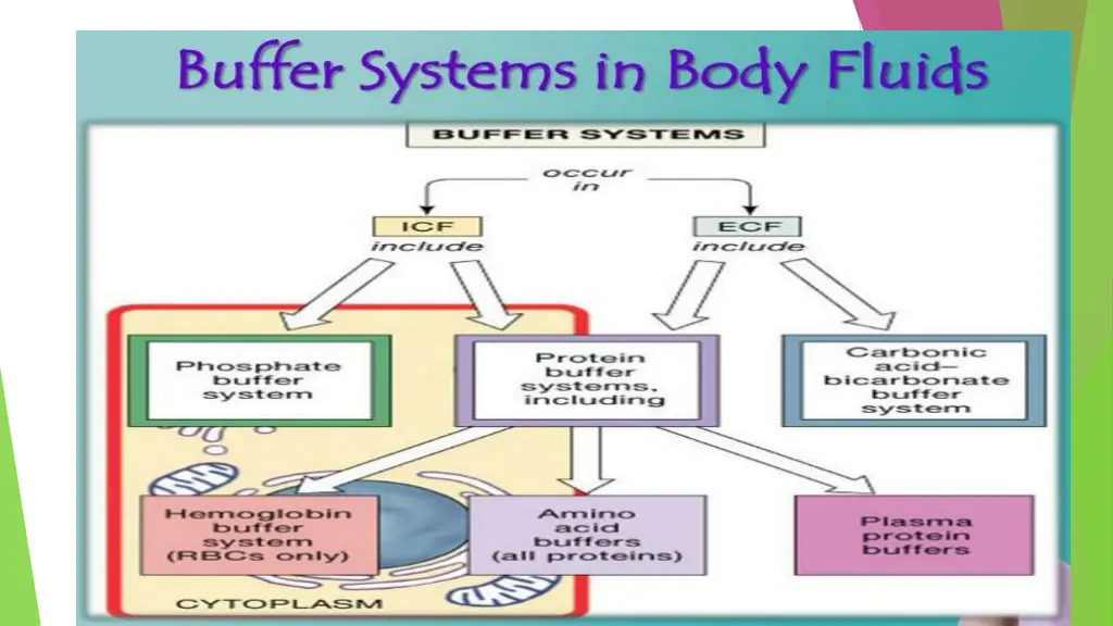 slide35